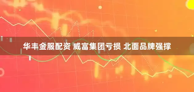 华丰金服配资 威富集团亏损 北面品牌强撑