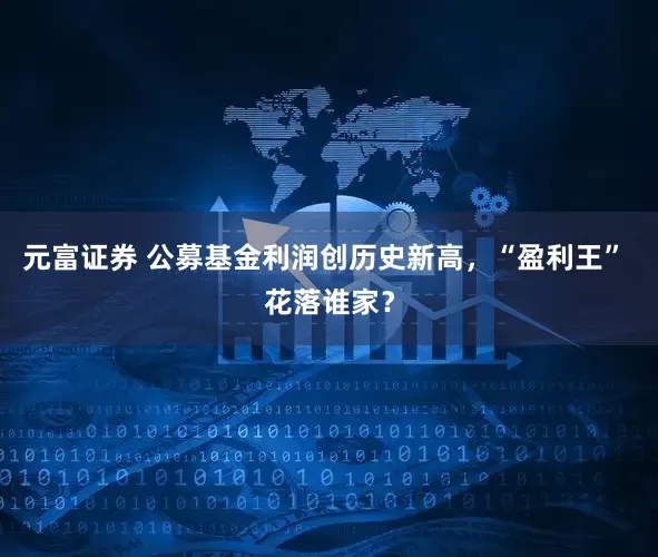元富证券 公募基金利润创历史新高，“盈利王” 花落谁家？